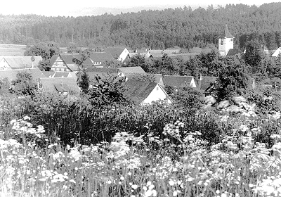 Weitere Bilder
